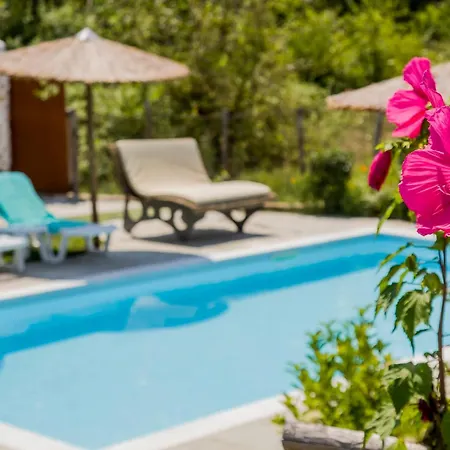 Alexander Aqua Oasis - Poolside Garden Getaway Evkarpia