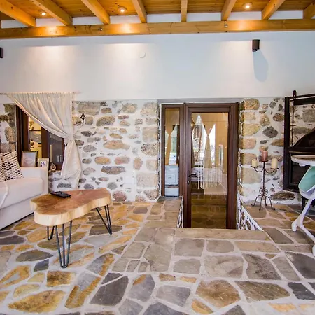 Alexander Aqua Oasis - Poolside Garden Getaway