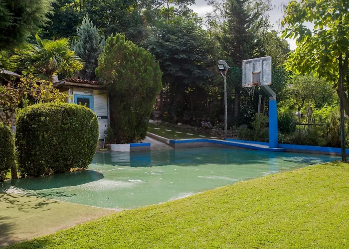 Alexander Aqua Oasis - Poolside Garden Getaway Willa